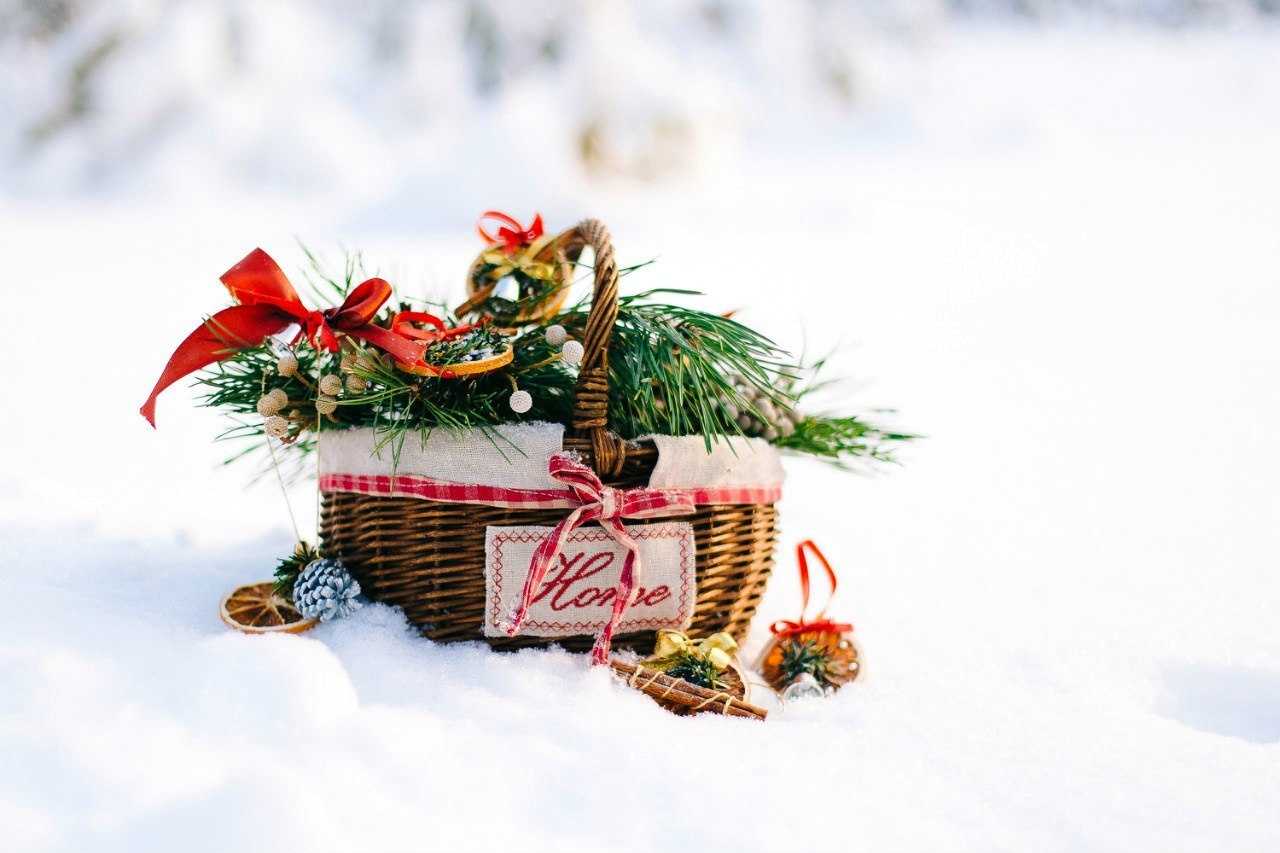 Warm winter picnic. Свадебный фотограф Аня Милграм