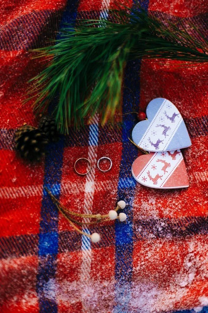 Warm winter picnic. Свадебный фотограф Аня Милграм