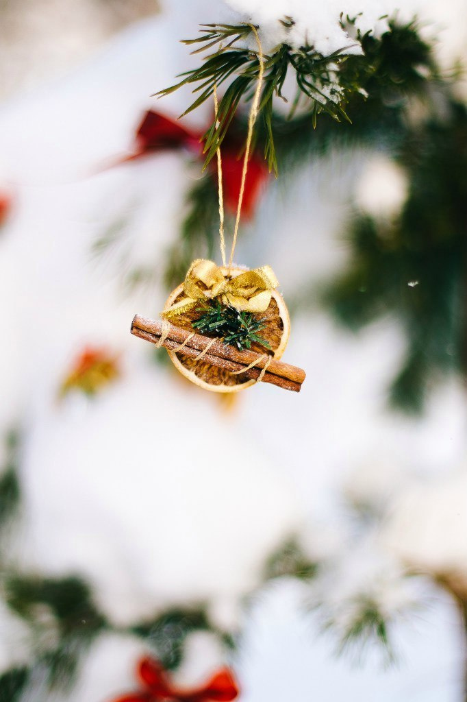 Warm winter picnic. Свадебный фотограф Аня Милграм