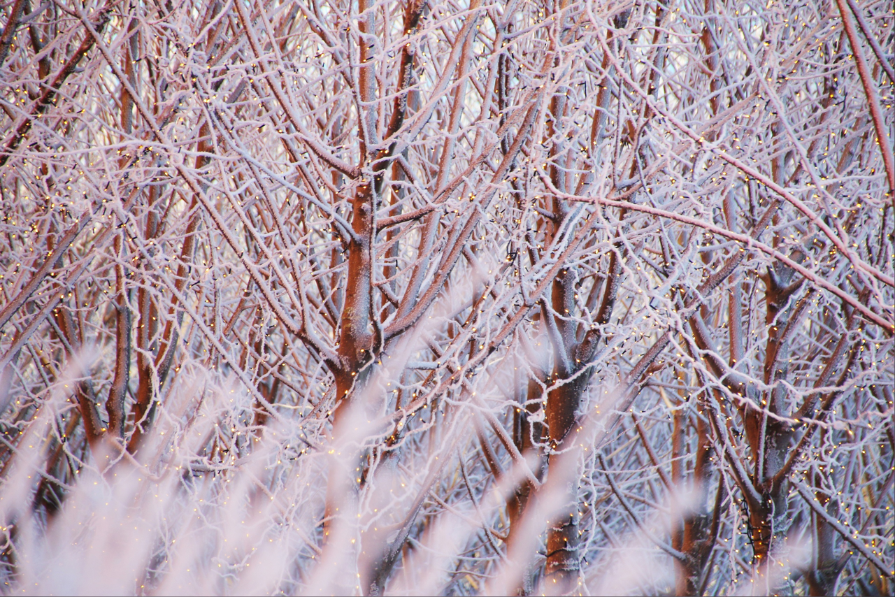 Городской пейзаж. Репортажный фотограф Анастасия Богданова из Тюмени