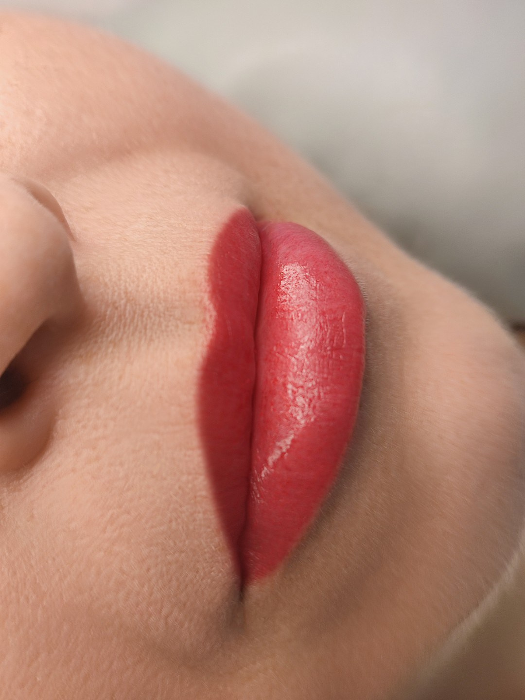 Губы-инструмент для достижения желаемого. Перманент PigmentLab Olga