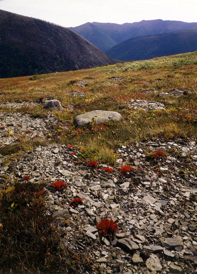 Саяны. ВАДИМ ГИППЕНРЕЙТЕР — ВЕЛИКИЙ ФОТОГРАФ ЗЕМЛИ РУССКОЙ