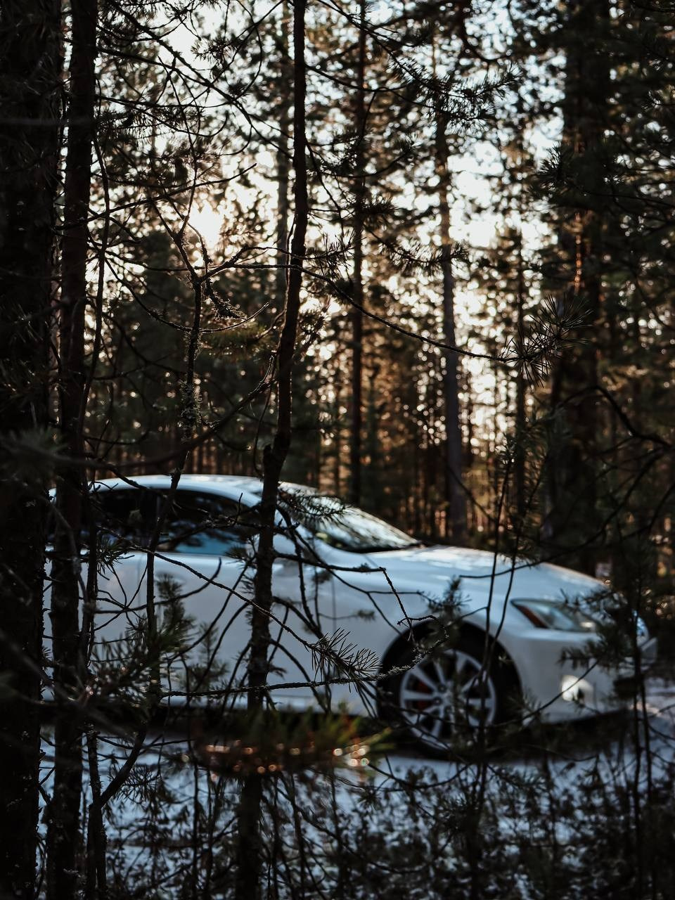 Фотосессия «Тандем инь‑ян: Mazda & Lexus». Душевный фотограф в Ноябрьске
