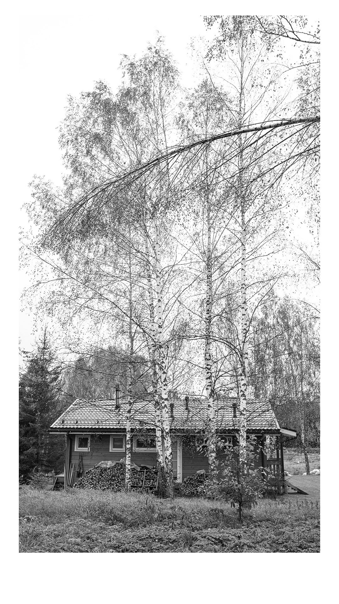 «Голос тела» Виктория Лайнер. Ольга Пилант. АРТ, бэкстейдж, свадебная и семейная фотография, городской портрет, интерьерная фотография