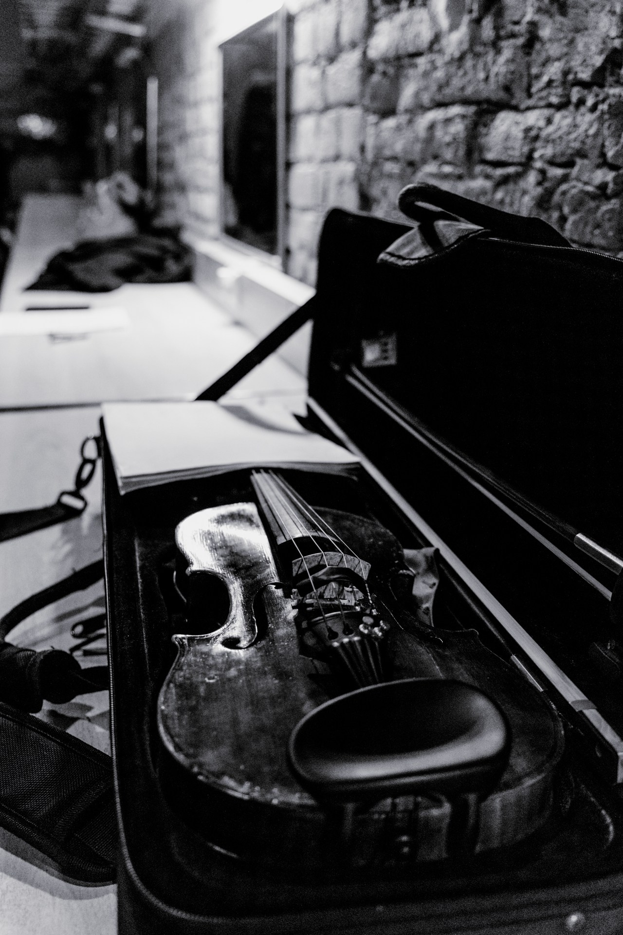 Hermitage Theater: Nikolai Khondzinsky Premiere. Фотограф в Санкт-Петербурге Гладкий Сергей