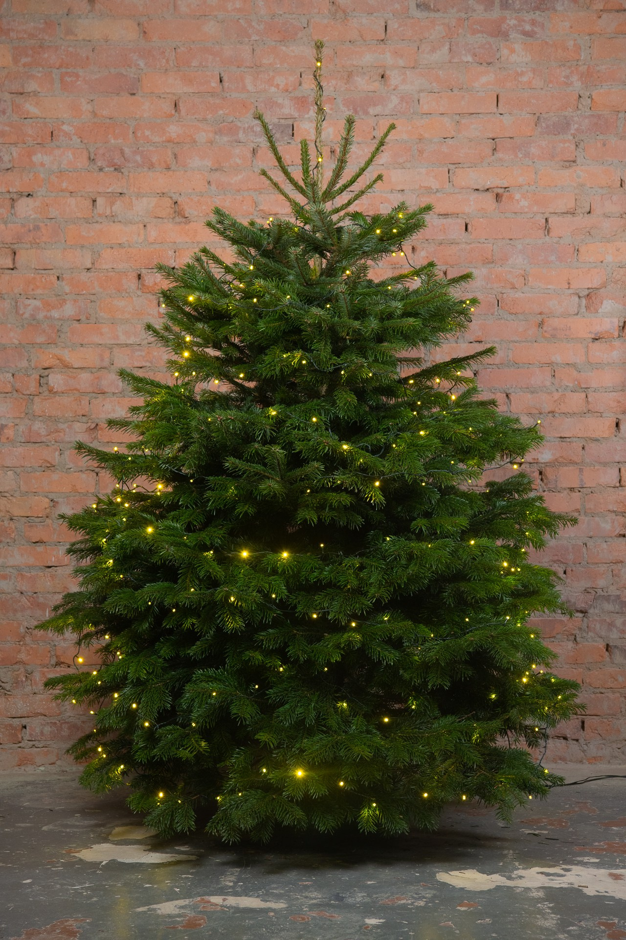 Предметная съемка елок. Фомина Елена Свадебный и семейный фотограф