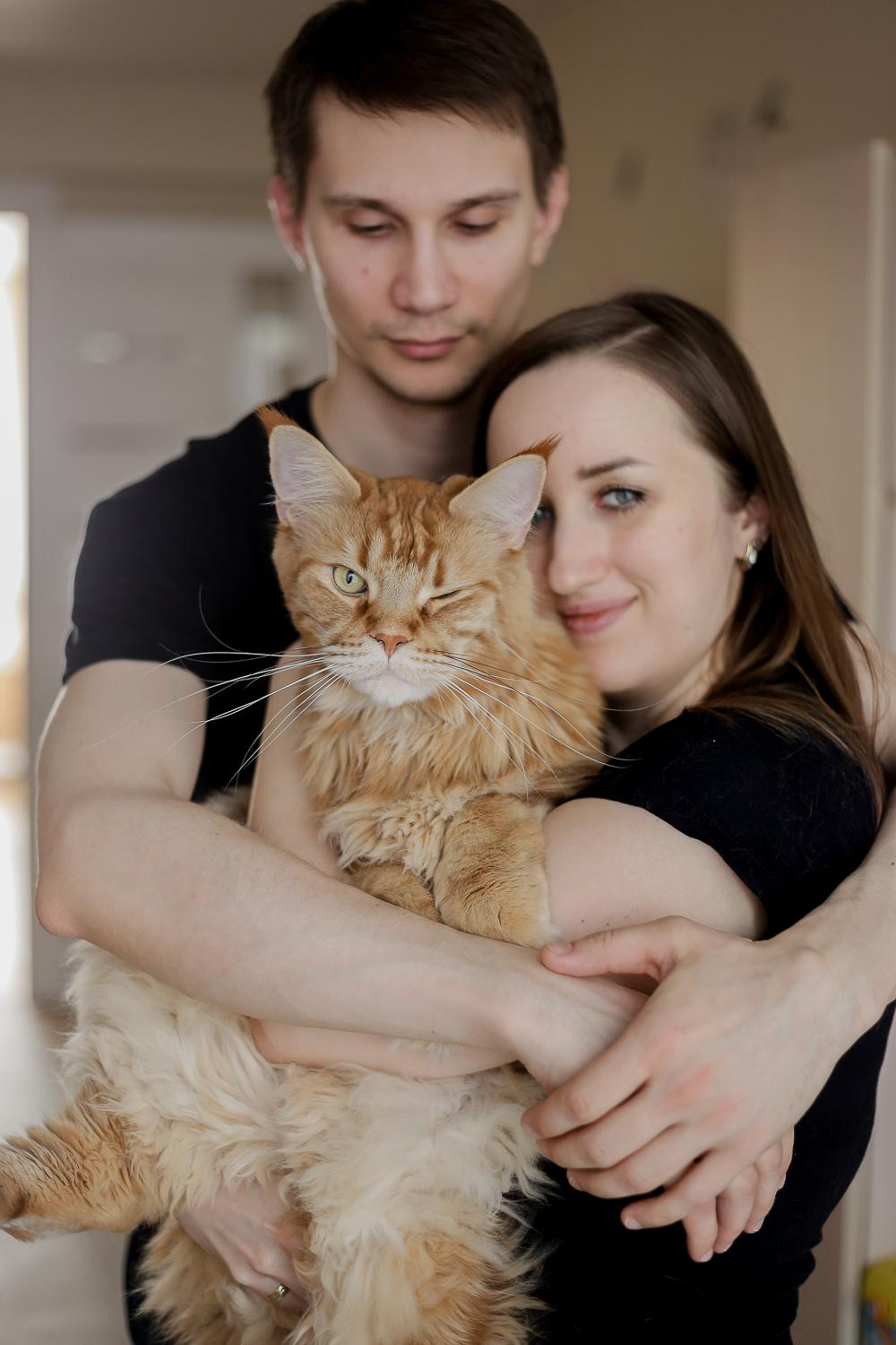 Ева и котики. Антонина Морозова, профессиональный семейный фотограф видеограф