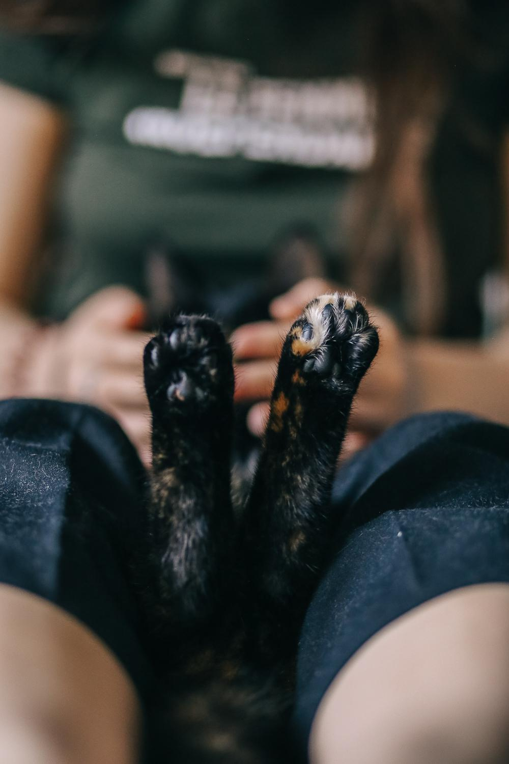 Муся и ВсеВсеВсе. Антонина Морозова, профессиональный семейный фотограф видеограф