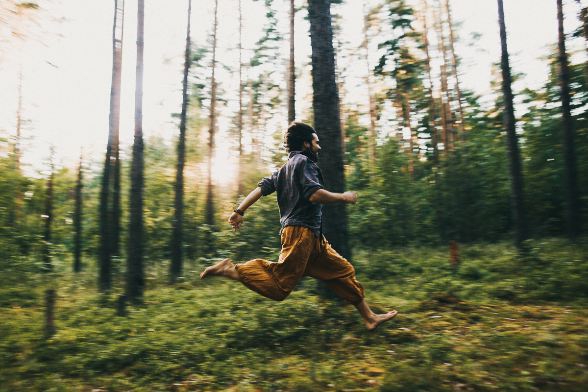 Береги свою птицу. Соня Черных (sophieblack)