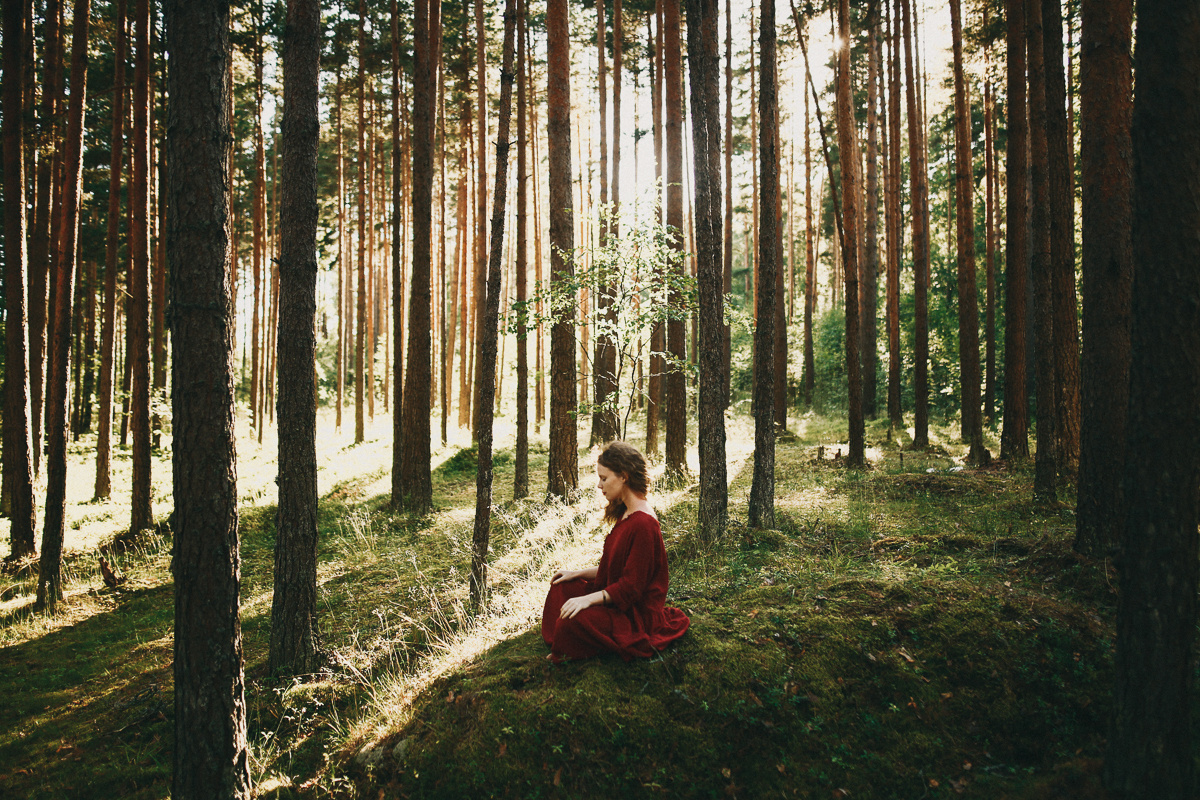 Береги свою птицу. Соня Черных (sophieblack)