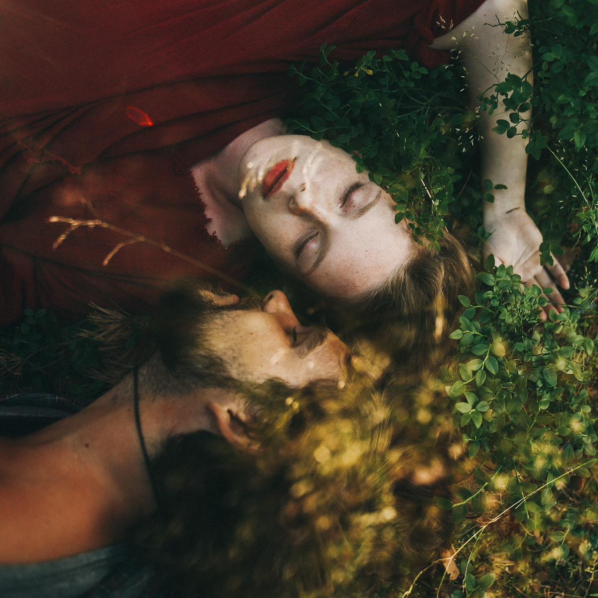 Береги свою птицу. Соня Черных (sophieblack)