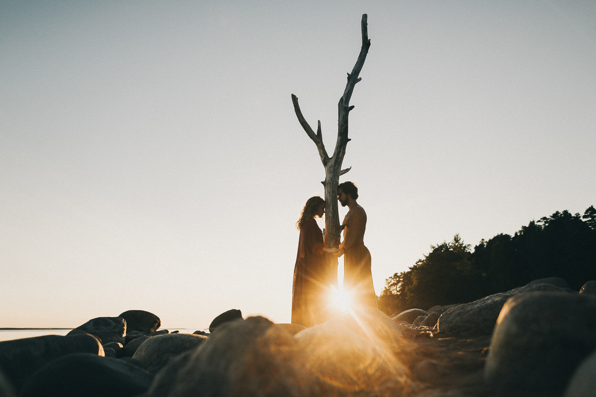 Береги свою птицу. Соня Черных (sophieblack)