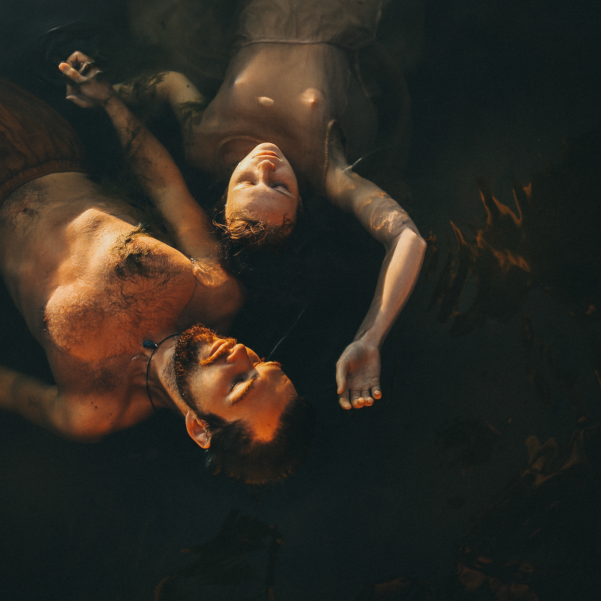 Береги свою птицу. Соня Черных (sophieblack)