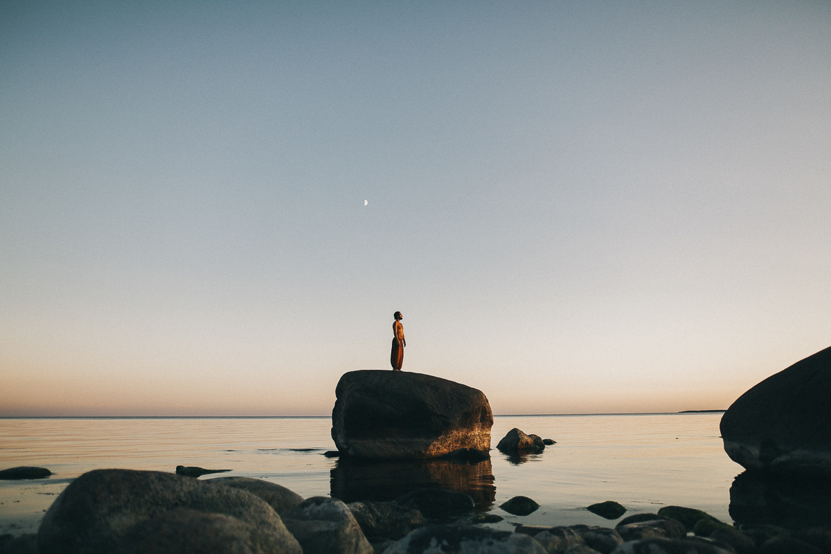 Береги свою птицу. Соня Черных (sophieblack)