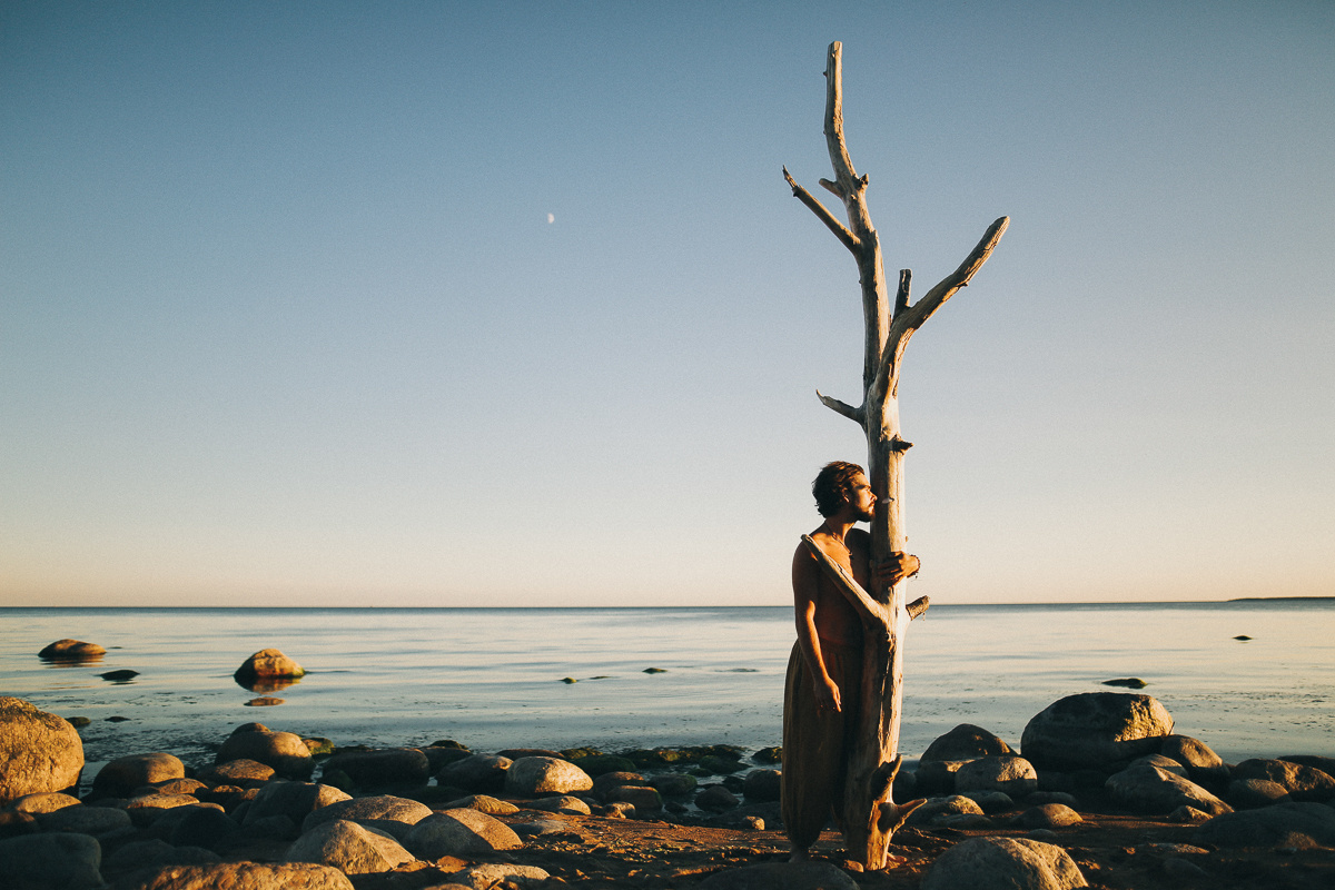 Береги свою птицу. Соня Черных (sophieblack)