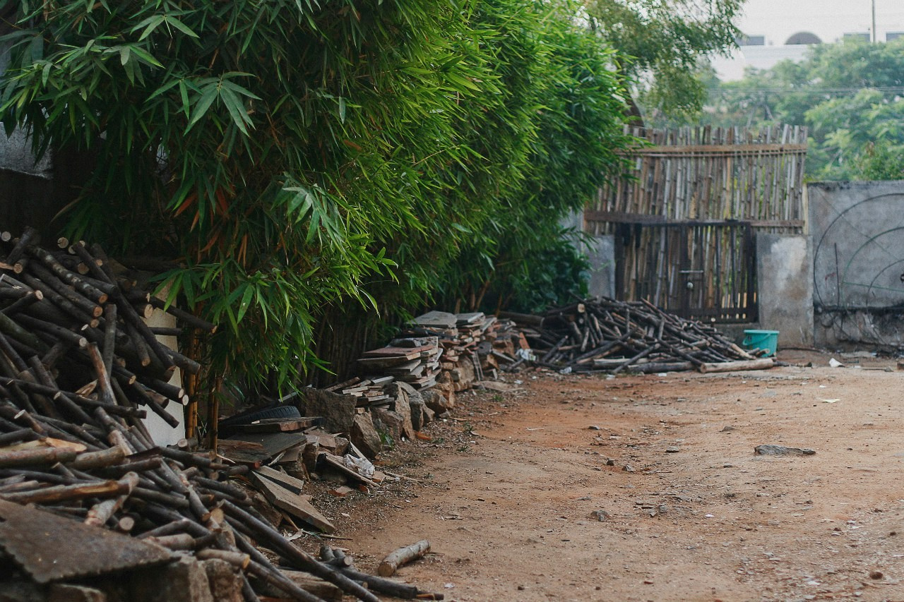 Путешествия. Балетный фотограф в Москве Евгения Сухарева