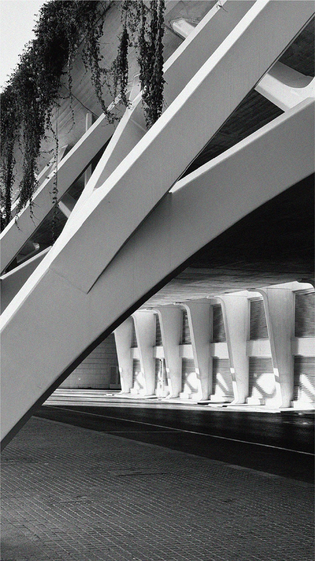 ABC’s of Ballet Valencia. Photographer in Valencia | Spain | Tatiana Kvasha