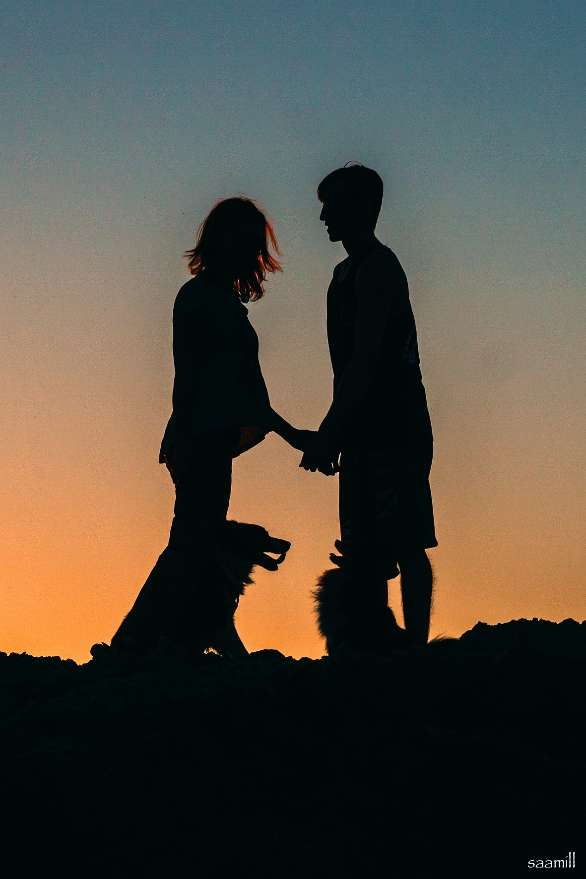 Life with dog. Saamill