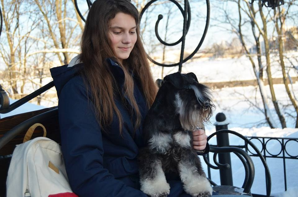 Питомник Делинсо Бэлэнс, щенки цвергшнауцера, купить щенка цвергшнауцера, питомник цвергшнауцеров, кобель цвергшнауцера для вязки, щенок цвергшнауцера, питомник цвергшнауцеров, черный с серебром, цверг, лучший питомник в беларуси, питомник цвергшнауцеров минск