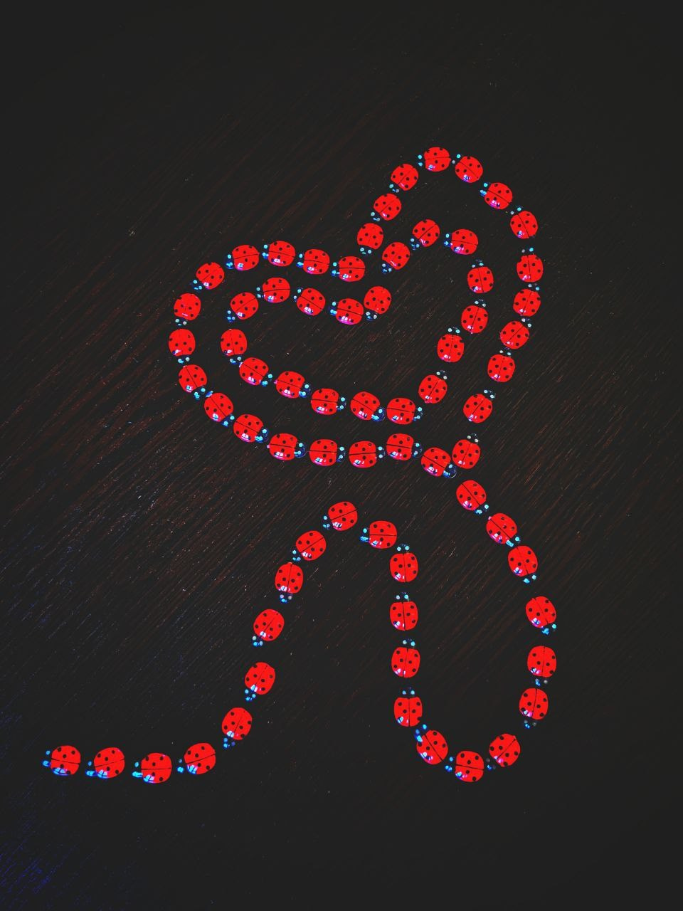 Проект «366»|2024|Фото каждый день. LENA GRACE photographer ||ЛЕНА ГРЭЙС фотограф