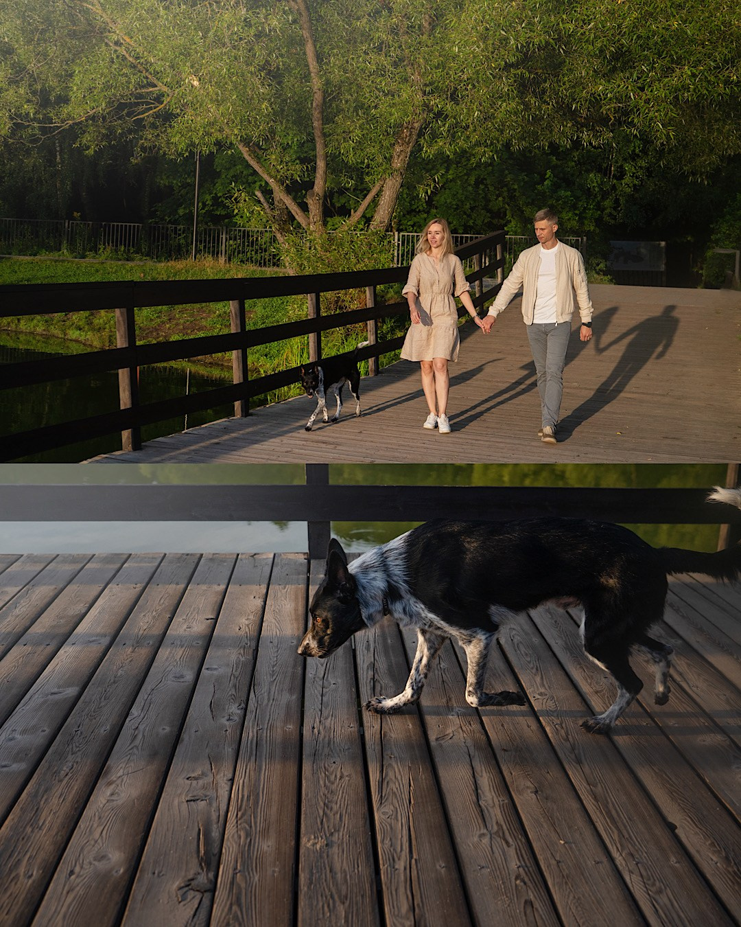Катя, Сергей и Флинт. Фотограф анималист в Москве и Санкт-Петербурге Свиридова Анна