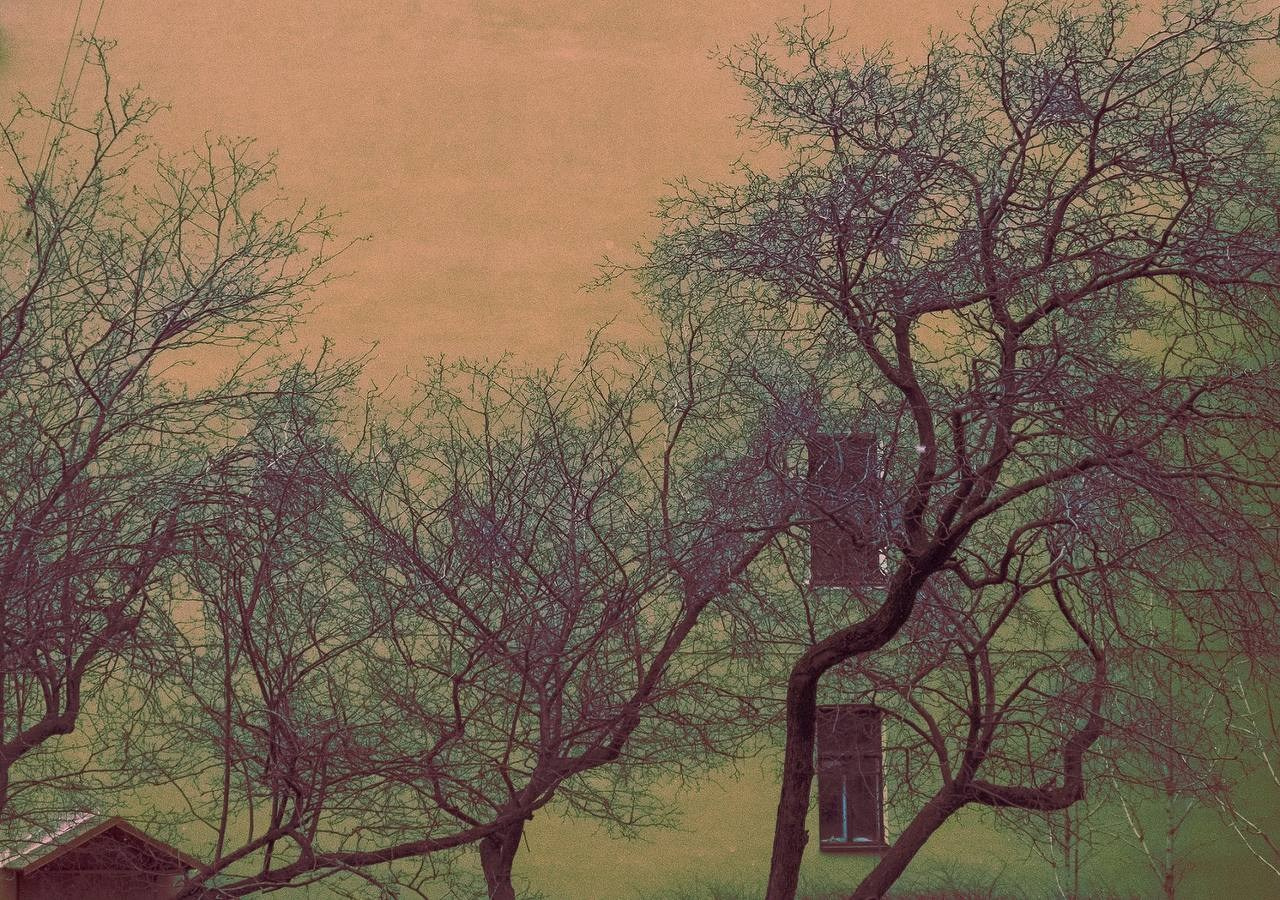 Vetvi. Коллекция