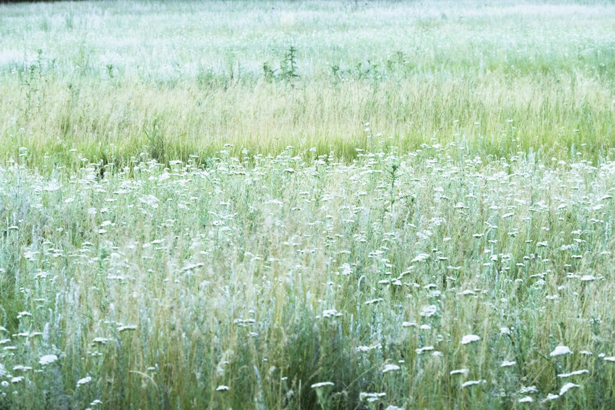 Пейзажи. Фотограф Дарья Морозова