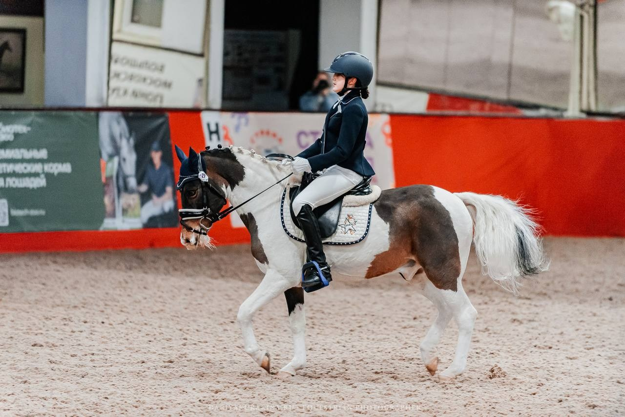 ВЫЕЗДКА в КЦ ИЗМАЙЛОВО, «ГЕОСКАЧКИ». Куракина Дарья • Конный фотограф