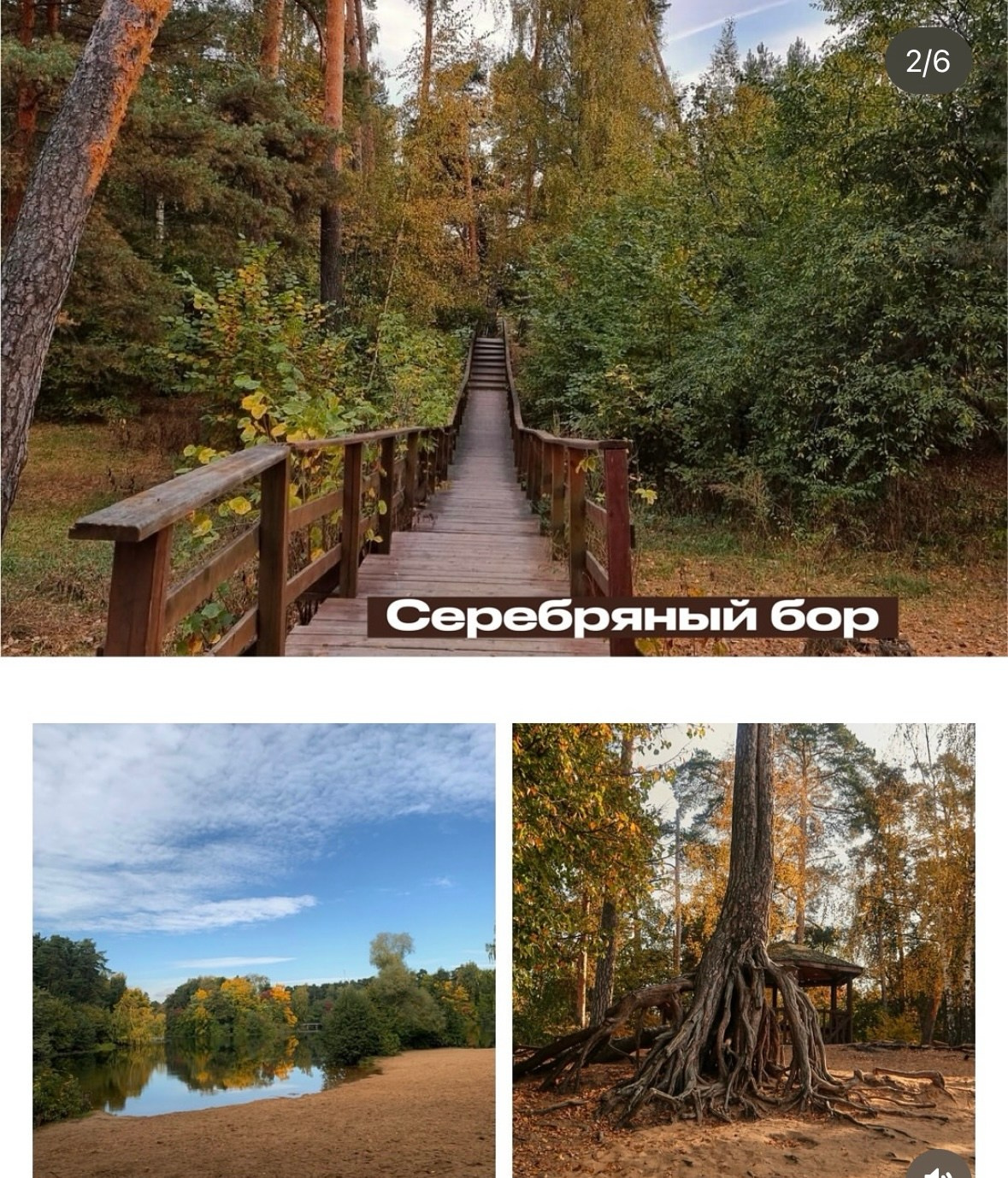 Природные. Фотограф Светлана Мерзлякова