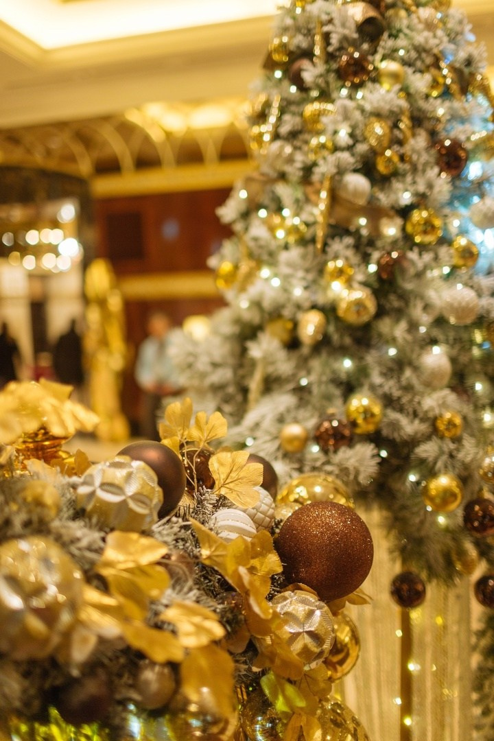 Детская Новогодняя Елка. Портфолио свадебного фотографа. Роман Каргаполов