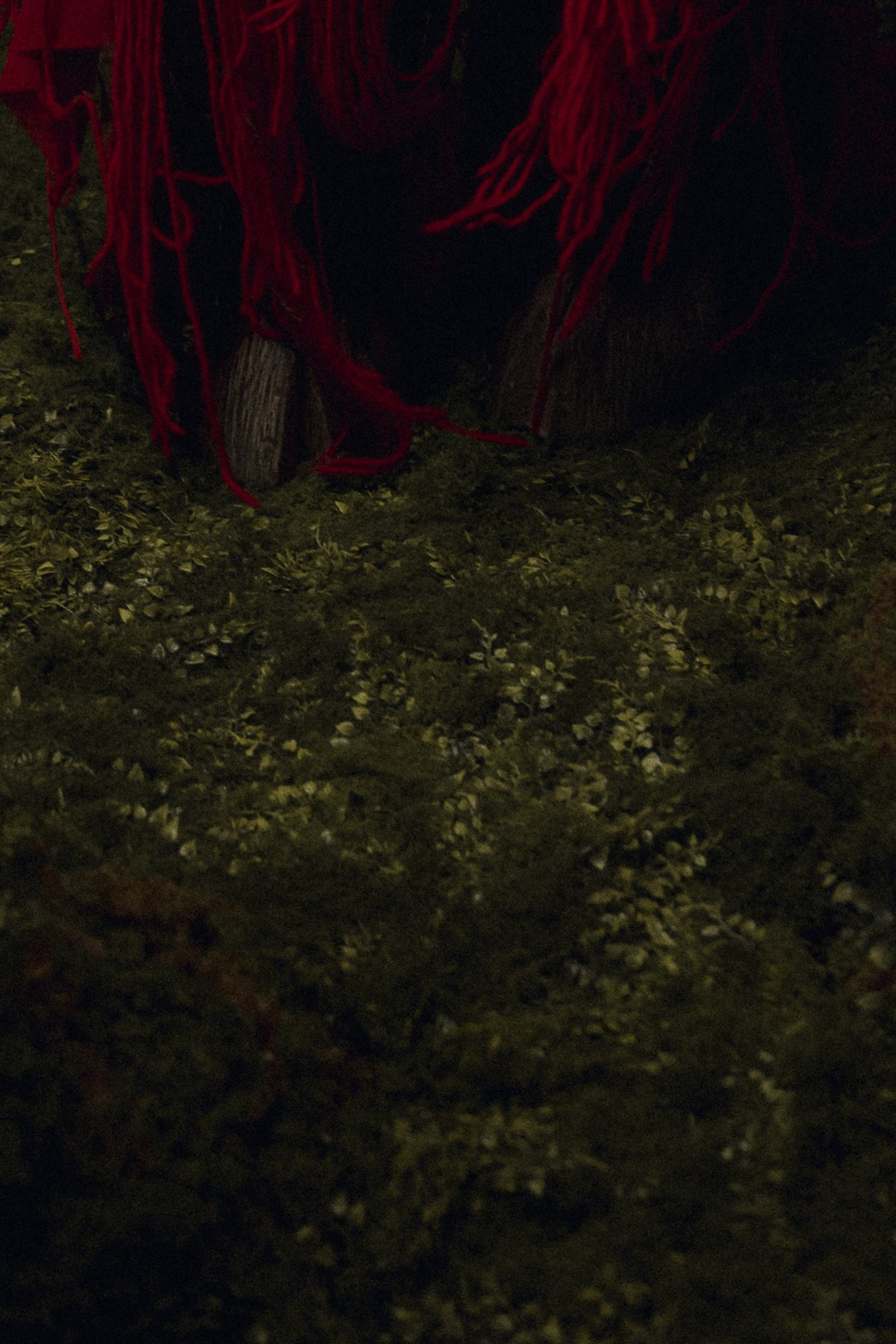 Sony alpha festival. Фотографирую пары и индивидуальные съемки в Алматы Шунько Ирина