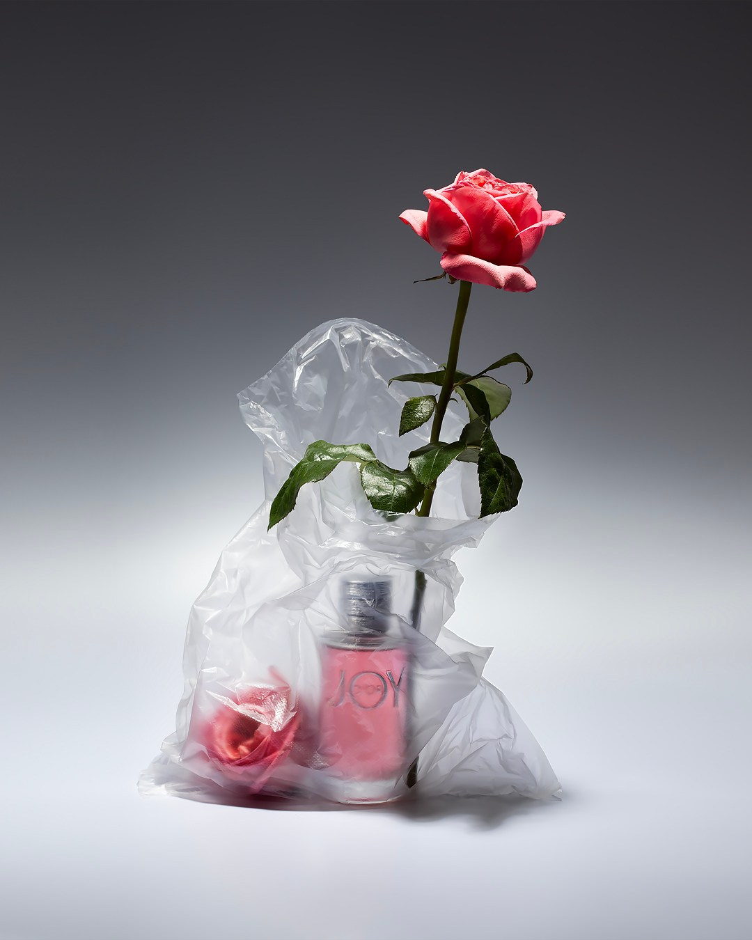 Dior JOY. Парфюмерная вода. Джениффер Лоуренс. Роза