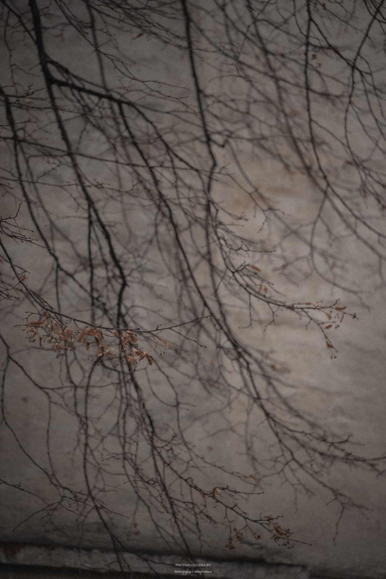 Прогулка по Москве. Авторские стильные фотокартины