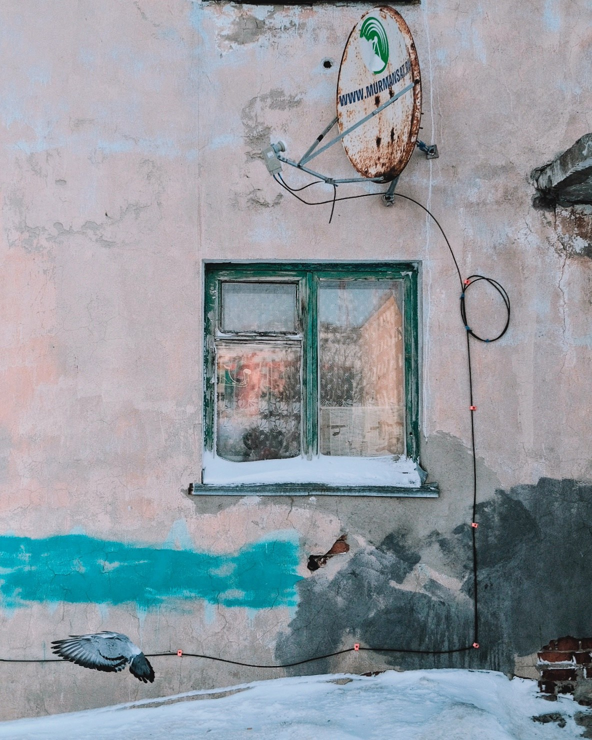 Красота в глазах смотрящего. Фотограф Бочарова Наталья, Санкт-Петербург