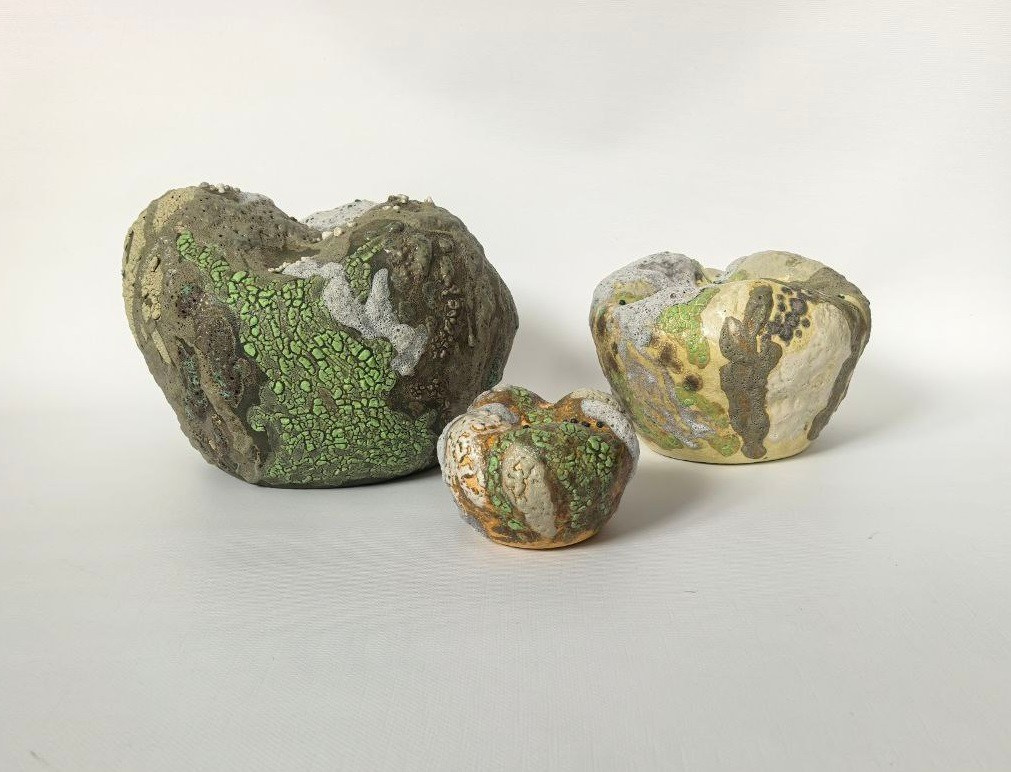 Биоморфные объекты. Художник-керамист Екатерина Ельникова