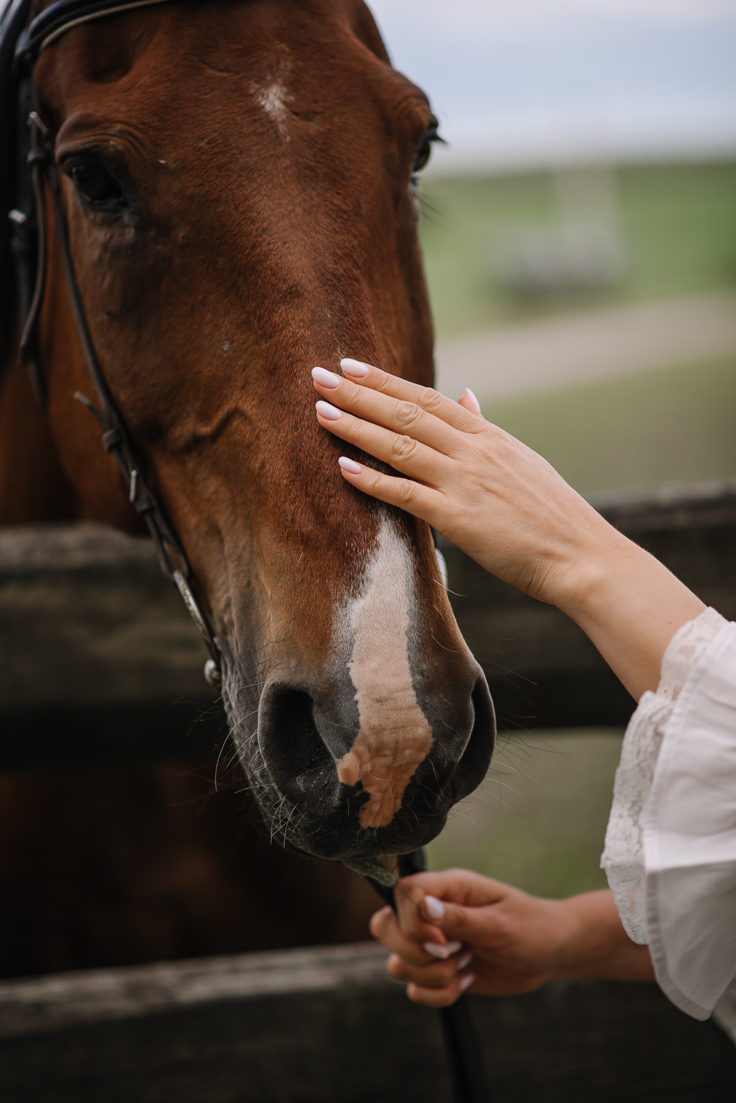 Наталия_Буцевичи. Свадебный и семейный фотограф в Минске Яна Новак