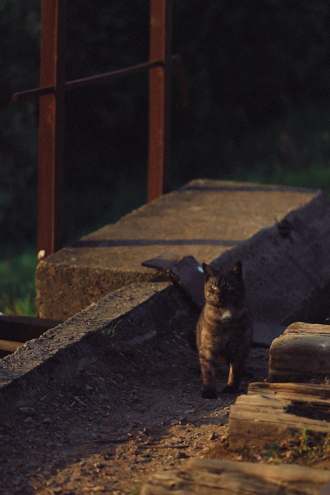 «Твин Пикс» в главной роли Лаура Пулмер. Свадебный фотограф Великий Новгород Станислав Кособудский