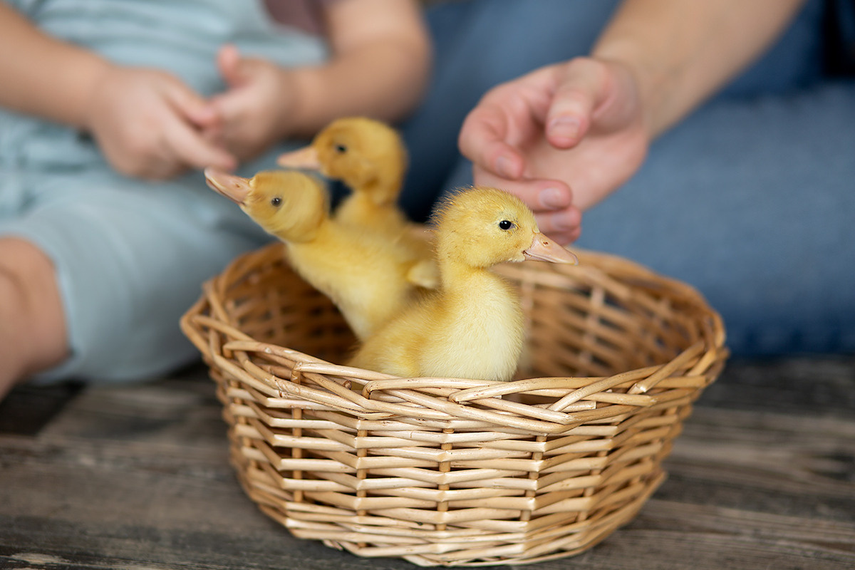 Фотопроект для детей. Студийная съёмка. Семейный и детский фотограф в Москве Полина Парамонова