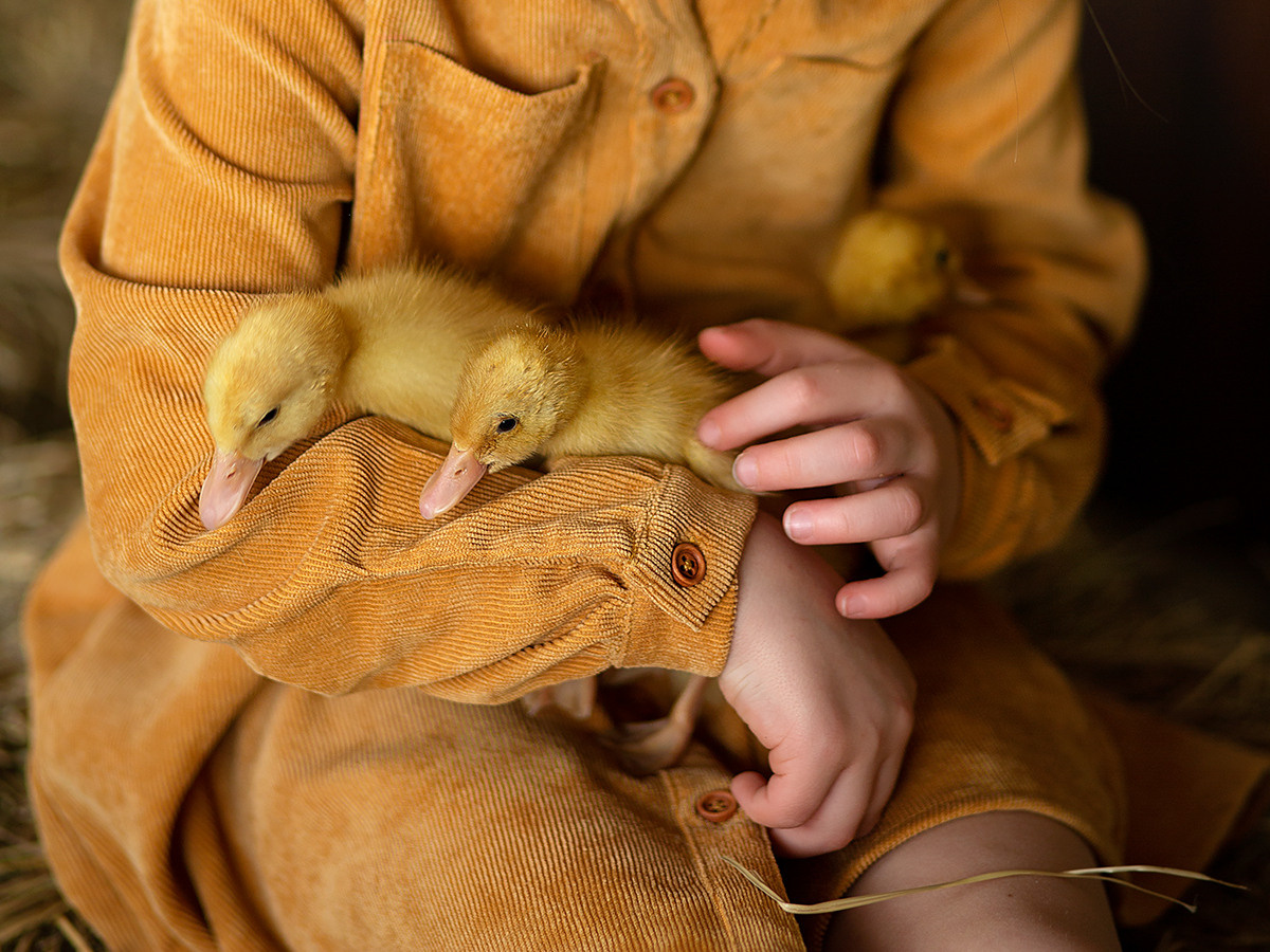 Фотопроект для детей. Студийная съёмка. Семейный и детский фотограф в Москве Полина Парамонова