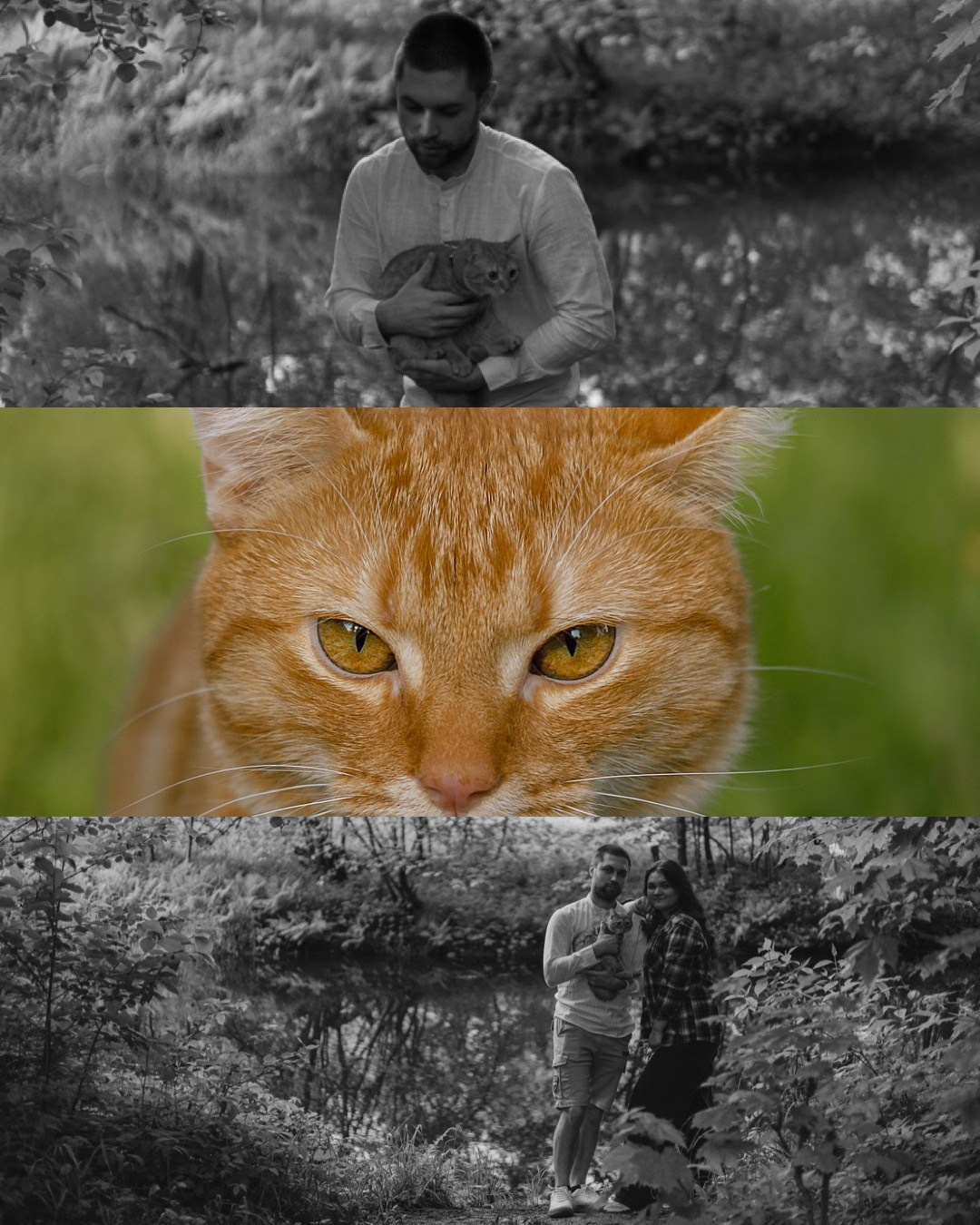 Макс и его семья. Фотограф — анималист •love-story•|Санкт-Петербург