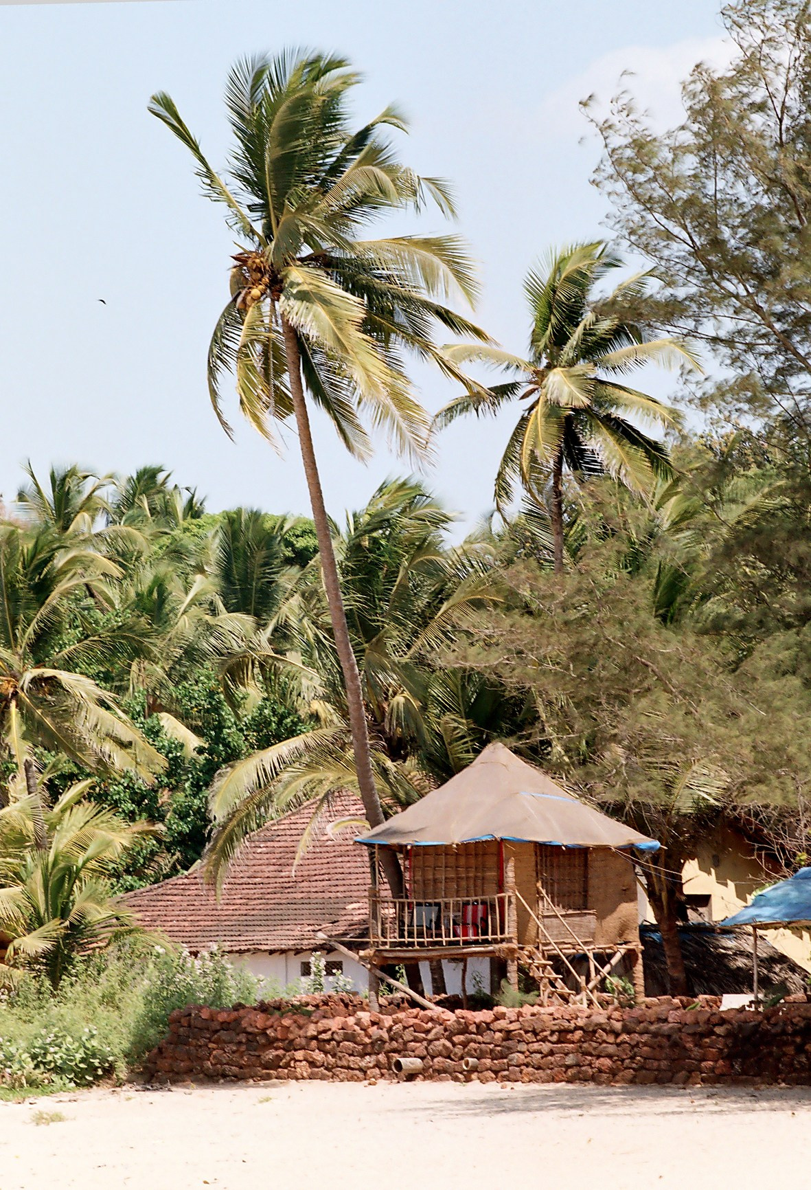 ГОА_2, 2005. Семейный фотограф в Новороссийске Игорь Белослюдцев
