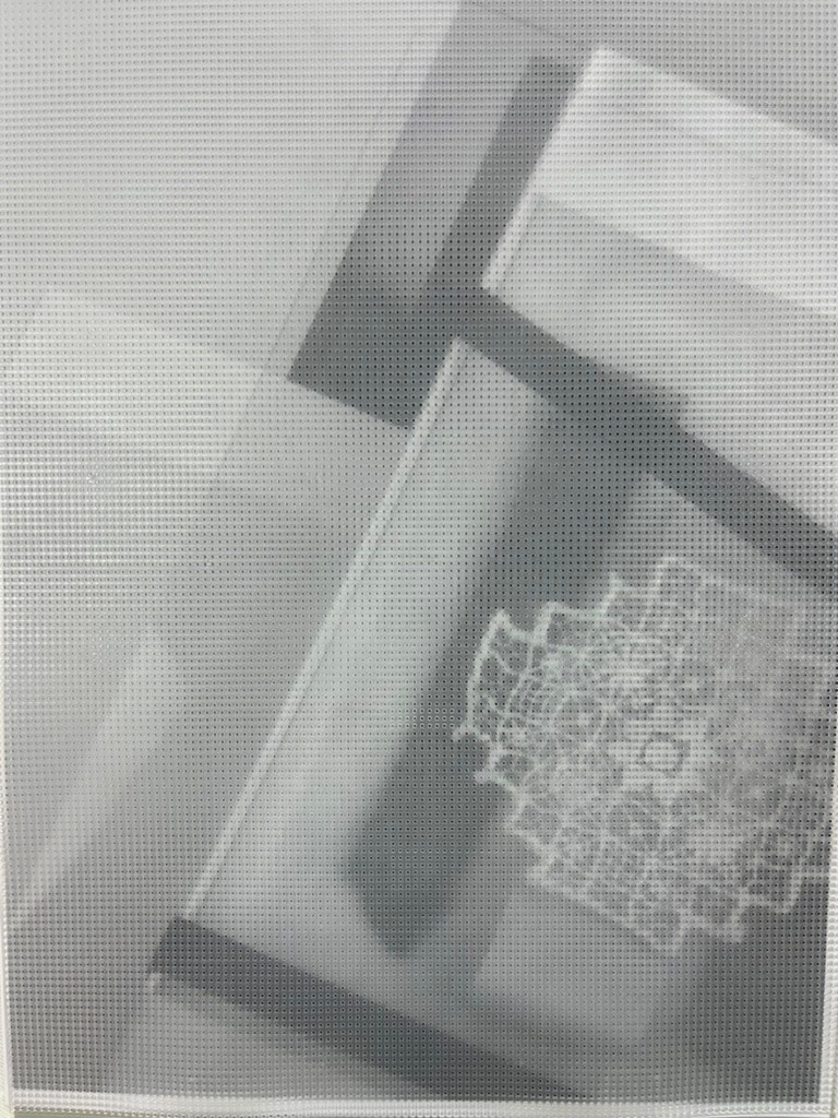 Предметная съемка. Art direction & Design | Curiosa