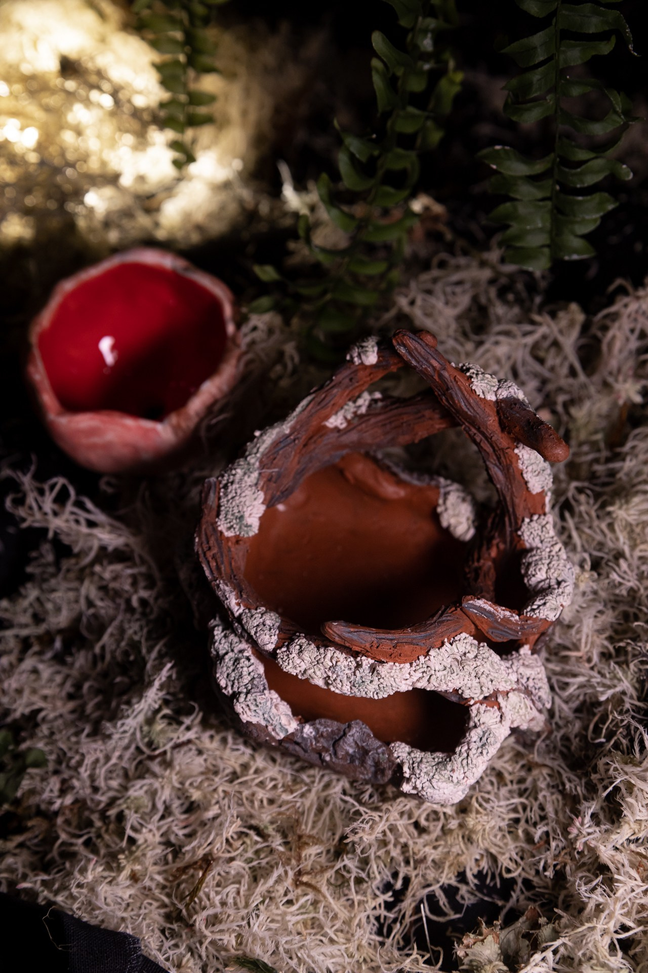 Горшок «Саркосцифа»  НЕТ В НАЛИЧИИ. Катя Цвет