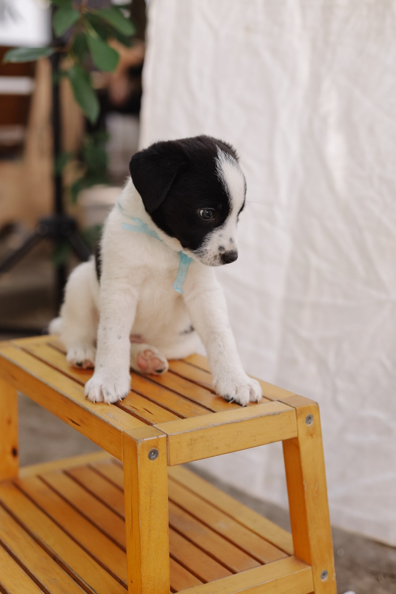 Отзывы. Фотограф новорожденных и семей Туапсе Краснодарский край Анна Альтман