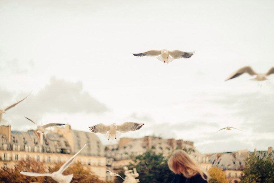 Paris. Свадебный фотограф в Ростове-на-Дону Владимир Пешков