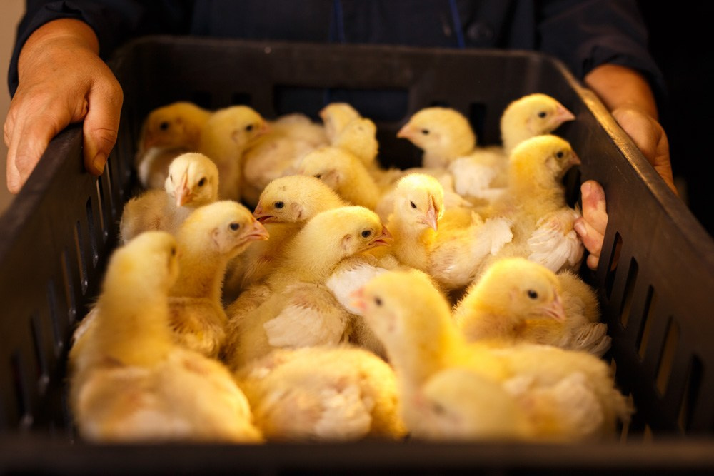 Актанышский район. Промышленный фотограф | Бизнес-фотосессии | Казань и РФ