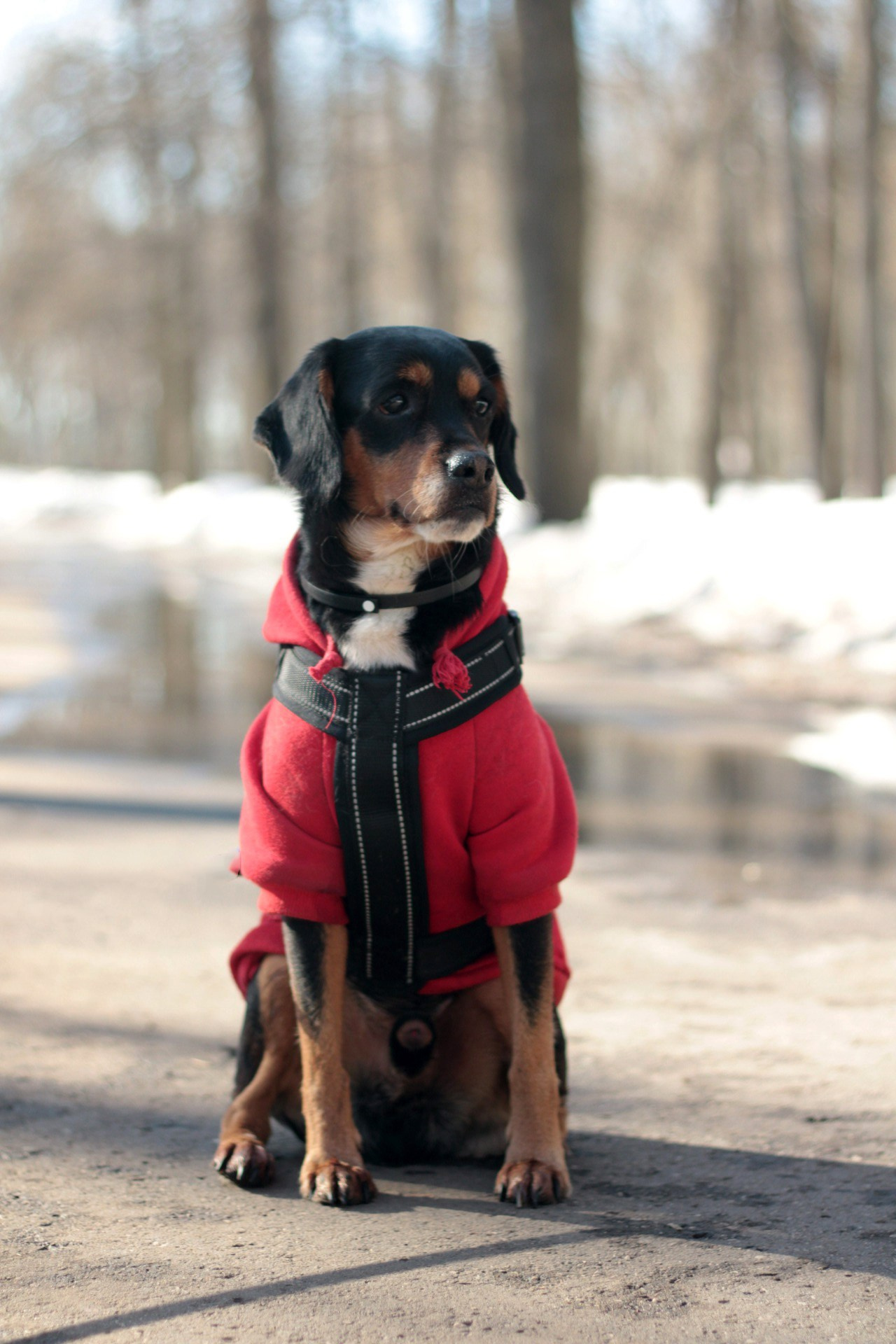 Маша и Кекс. Катя Попова|ЛайфСтайл фотограф