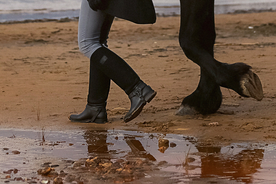 Фотосессия на заливе в двумя лошадьми СПб. Фотограф женский и мужской портрет Санкт-Петербург