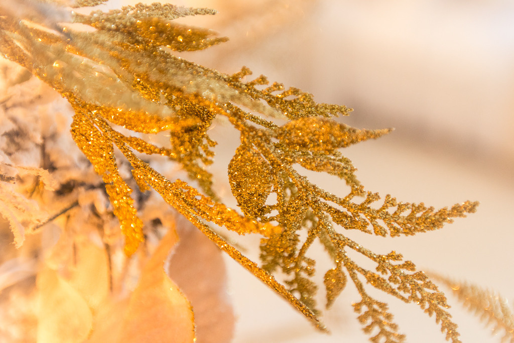 Беременная фотосессия. Фотограф женский и мужской портрет Санкт-Петербург