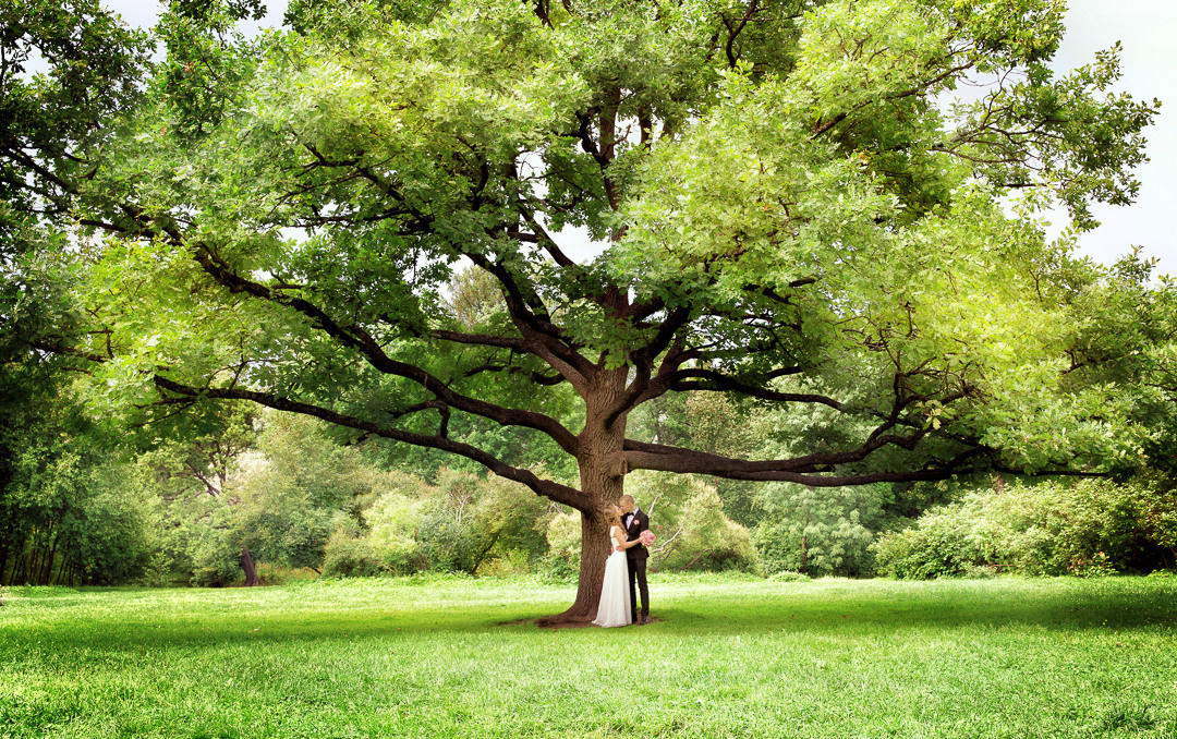 Аня и Ваня_2015. Фотограф женский и мужской портрет Санкт-Петербург